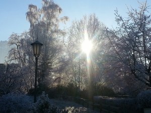 20131214_095243_resized