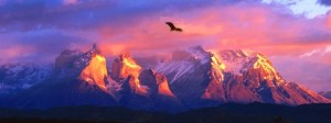 cropped-Eagle-Over-Mountains1