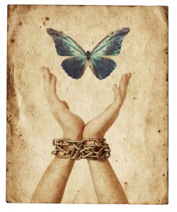 6a0120a5701826970b0147e0bbb7cd970b-800wi