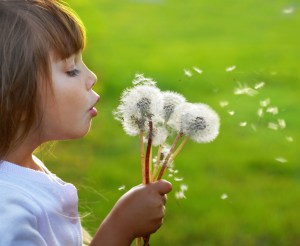 dandelion-wishes-home-page