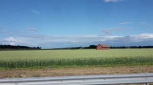 20150723_175247_resized