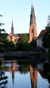 20150723_201346_resized