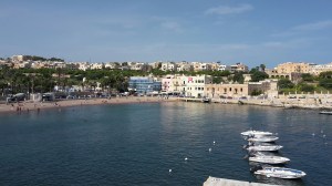 20151007_113355_resized