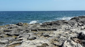 20151007_114543_resized