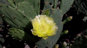 20151007_120457_resized