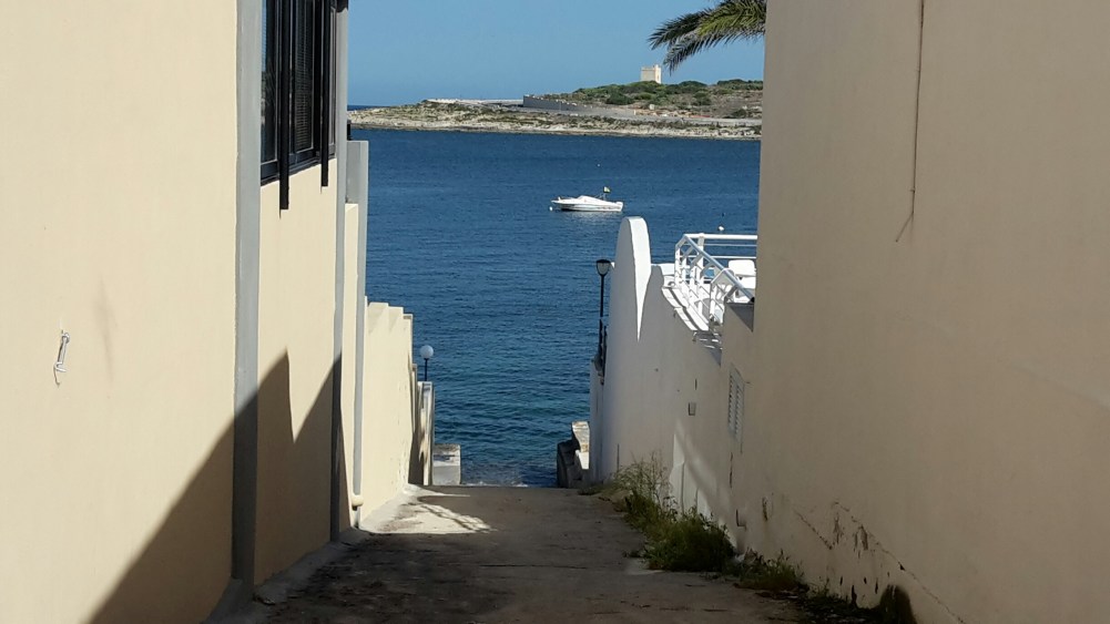 20151008_145031_resized