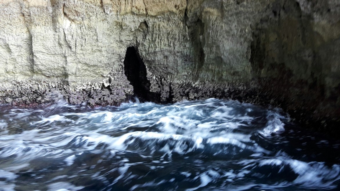 20151012_111846_resized