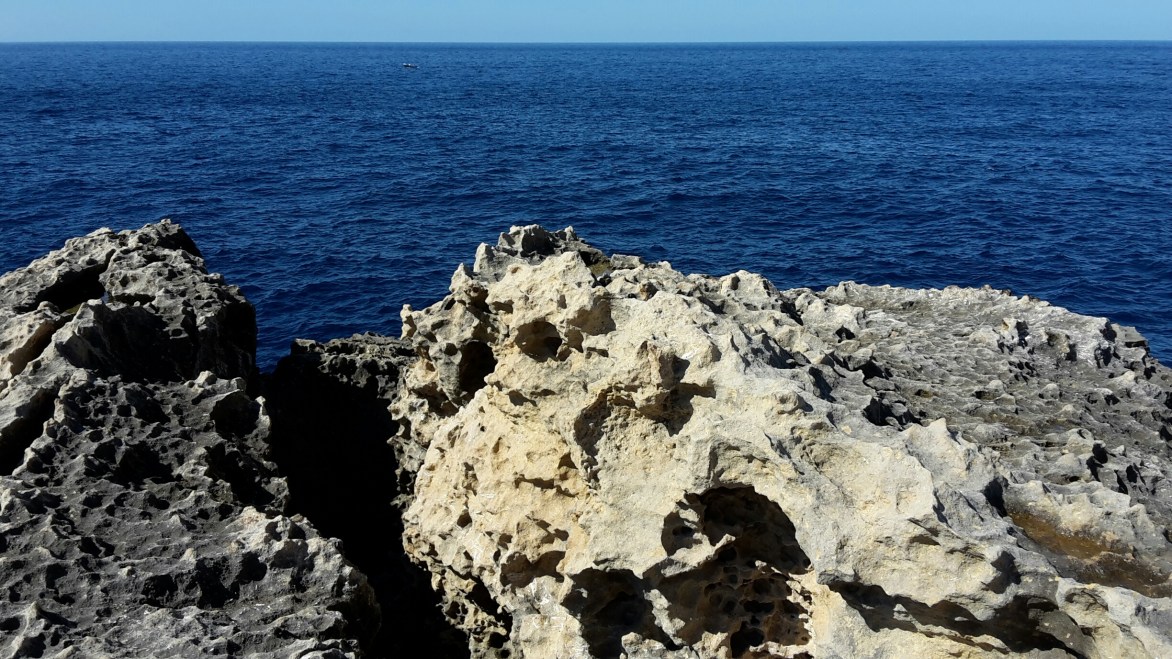 20151012_114303_resized