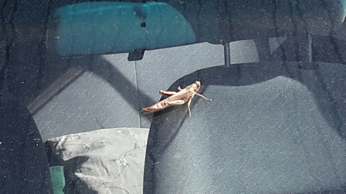 20151012_131542_resized