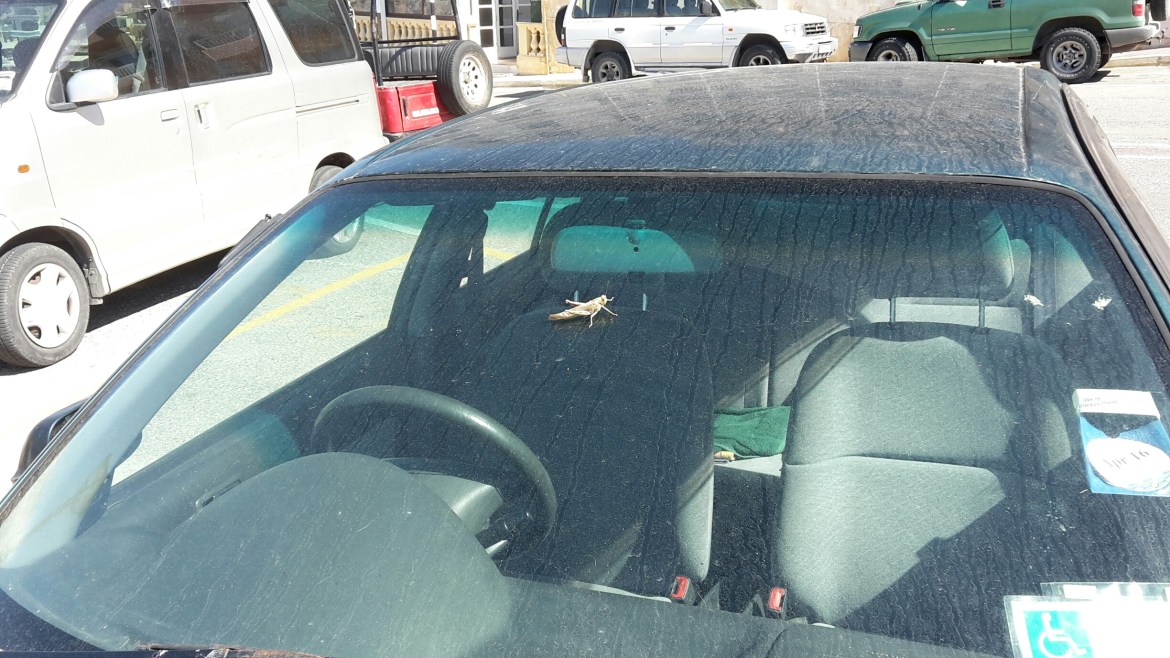 20151012_131606_resized