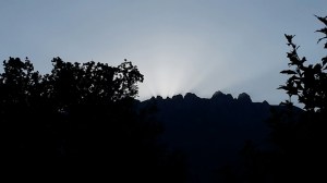 20150710_200142_resized