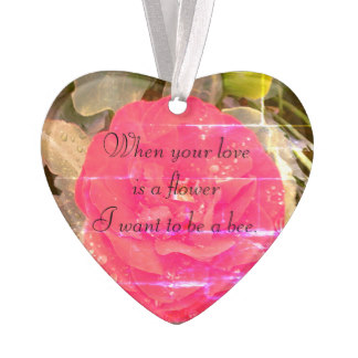 inspirational_ornament_love-rd91c9ede6249414989b68e7534821ff2_zh5vl_324