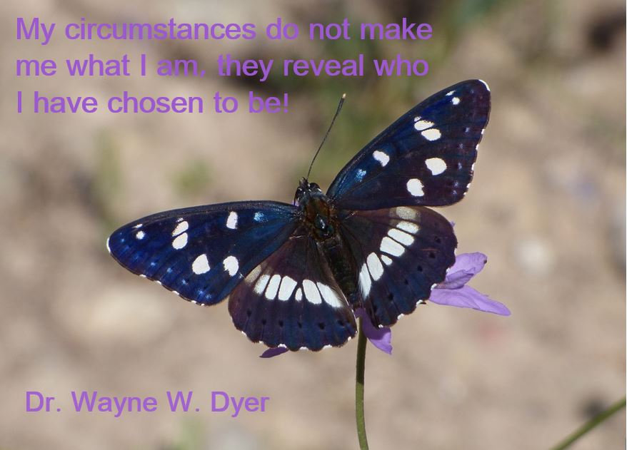Dr. Dyer Quote.JPG
