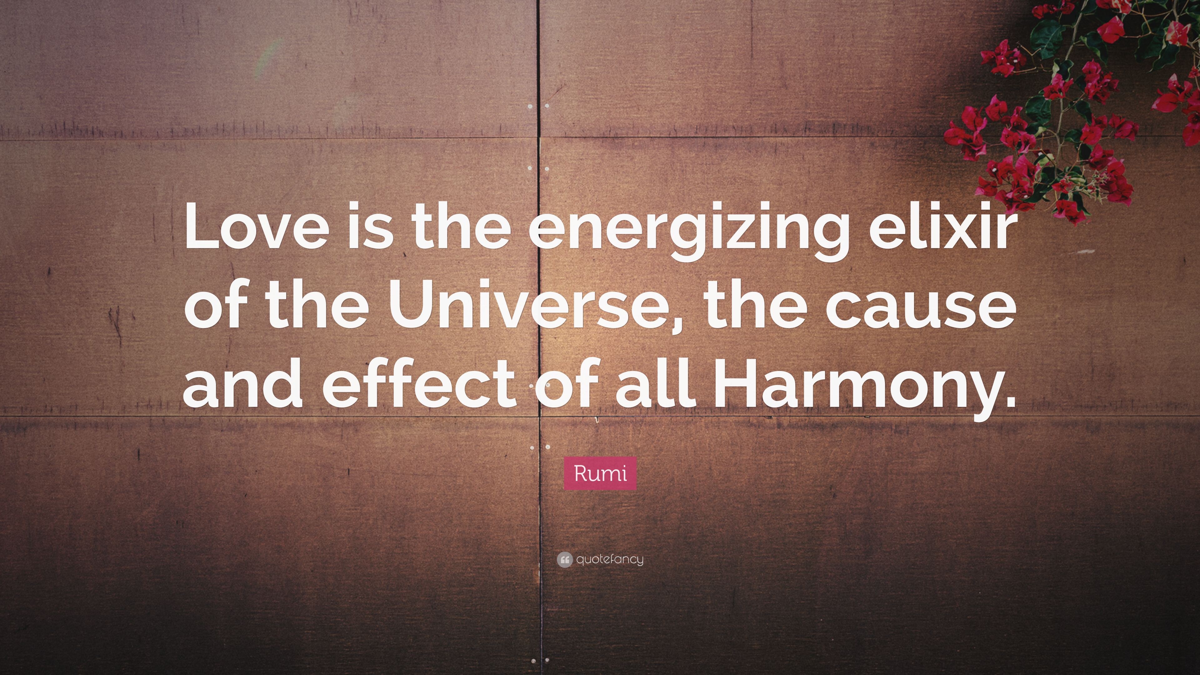 2055621-Rumi-Quote-Love-is-the-energizing-elixir-of-the-Universe-the-cause.jpg