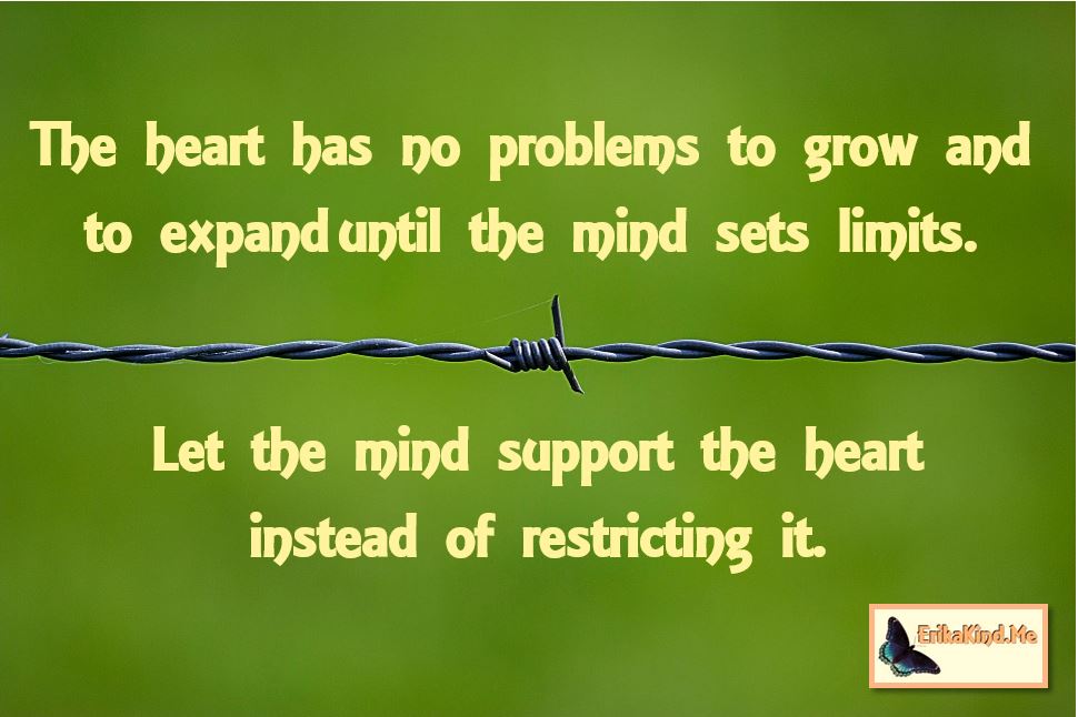 Let the mind support the heart.JPG